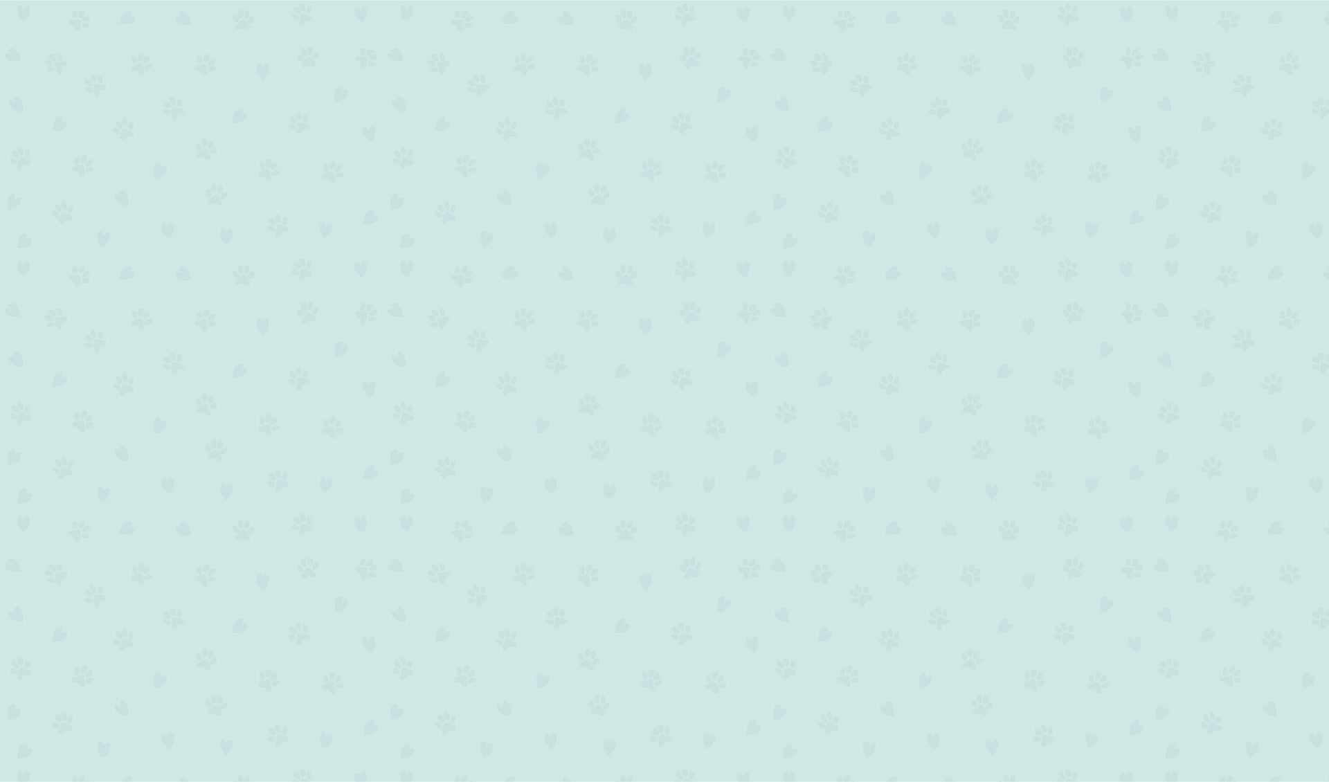 Hero Banner BG