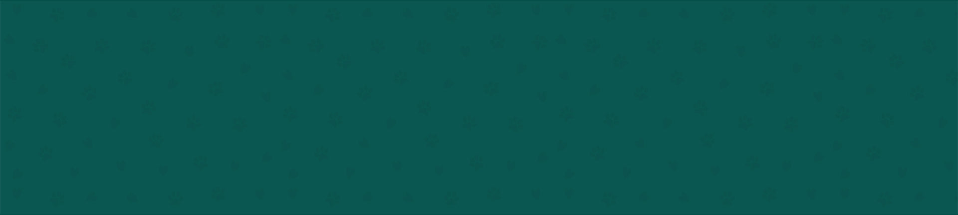 Hero Banner BG