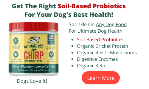 Chirp Superfood Topper With Soil-Based Probiotics