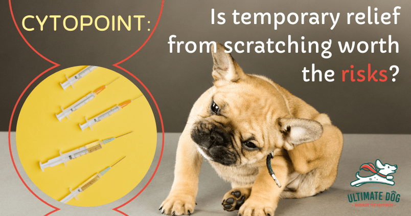 cytopoint for dogs
