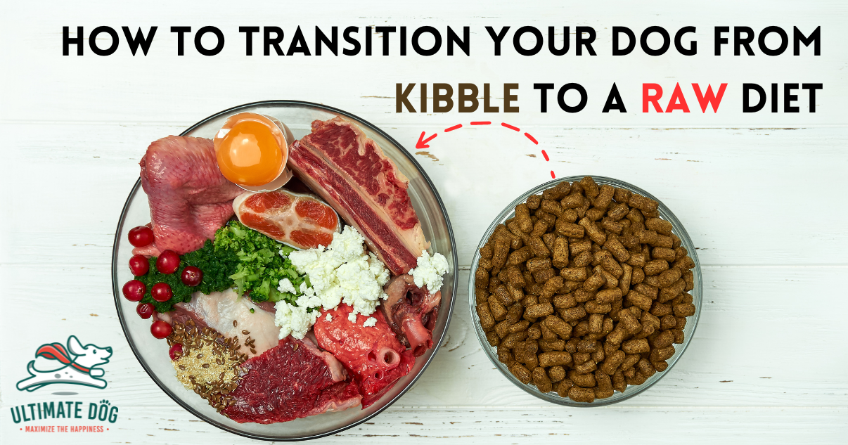 switch from kibble to raw food
