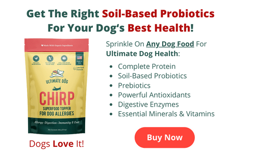 Chirp Superfood Topper With Soil-Based Probiotics