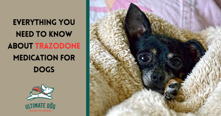 Trazodone for dogs