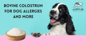 Colostrum for dogs