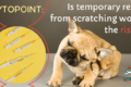 cytopoint for dogs