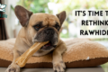 Rawhide for dogs